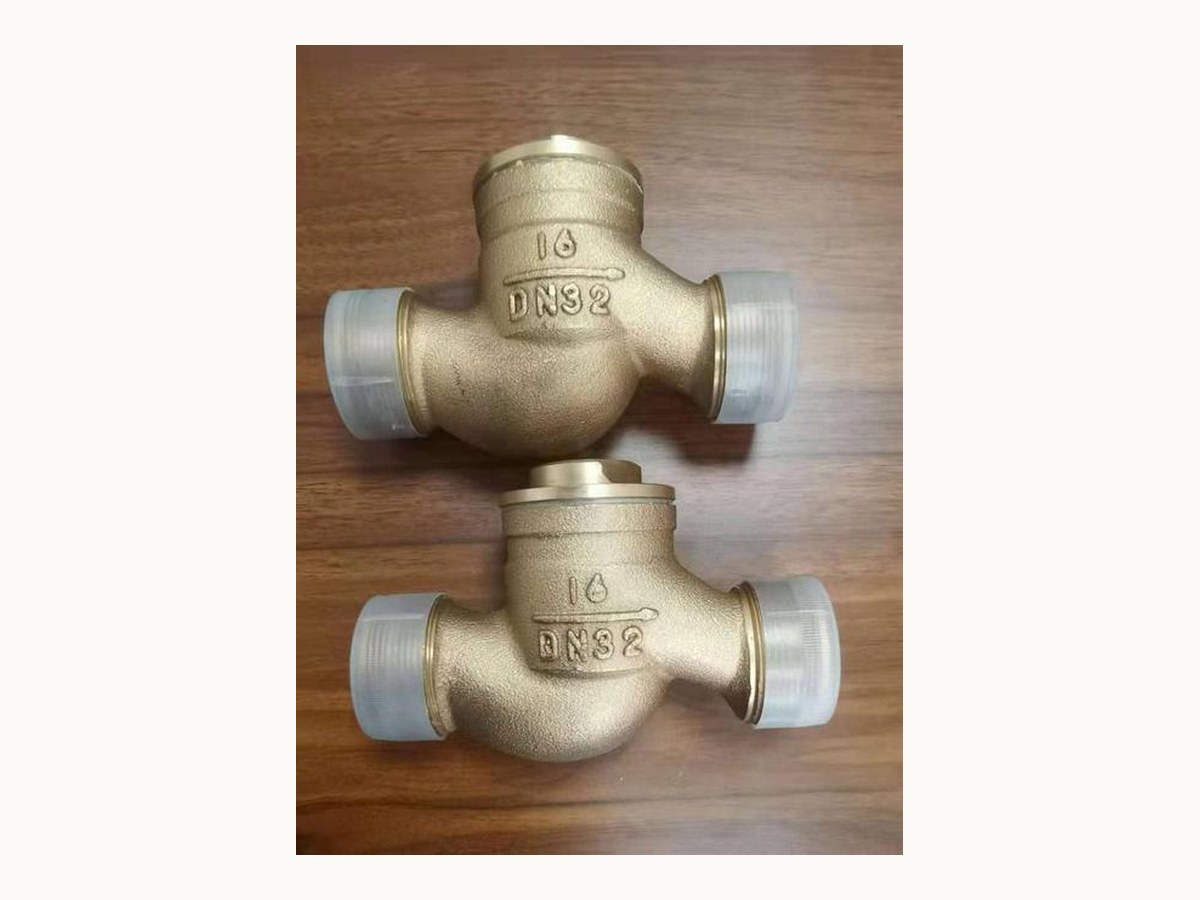 Marine Bronze Female Thread Globe Check Valve (CB/T310-1999)