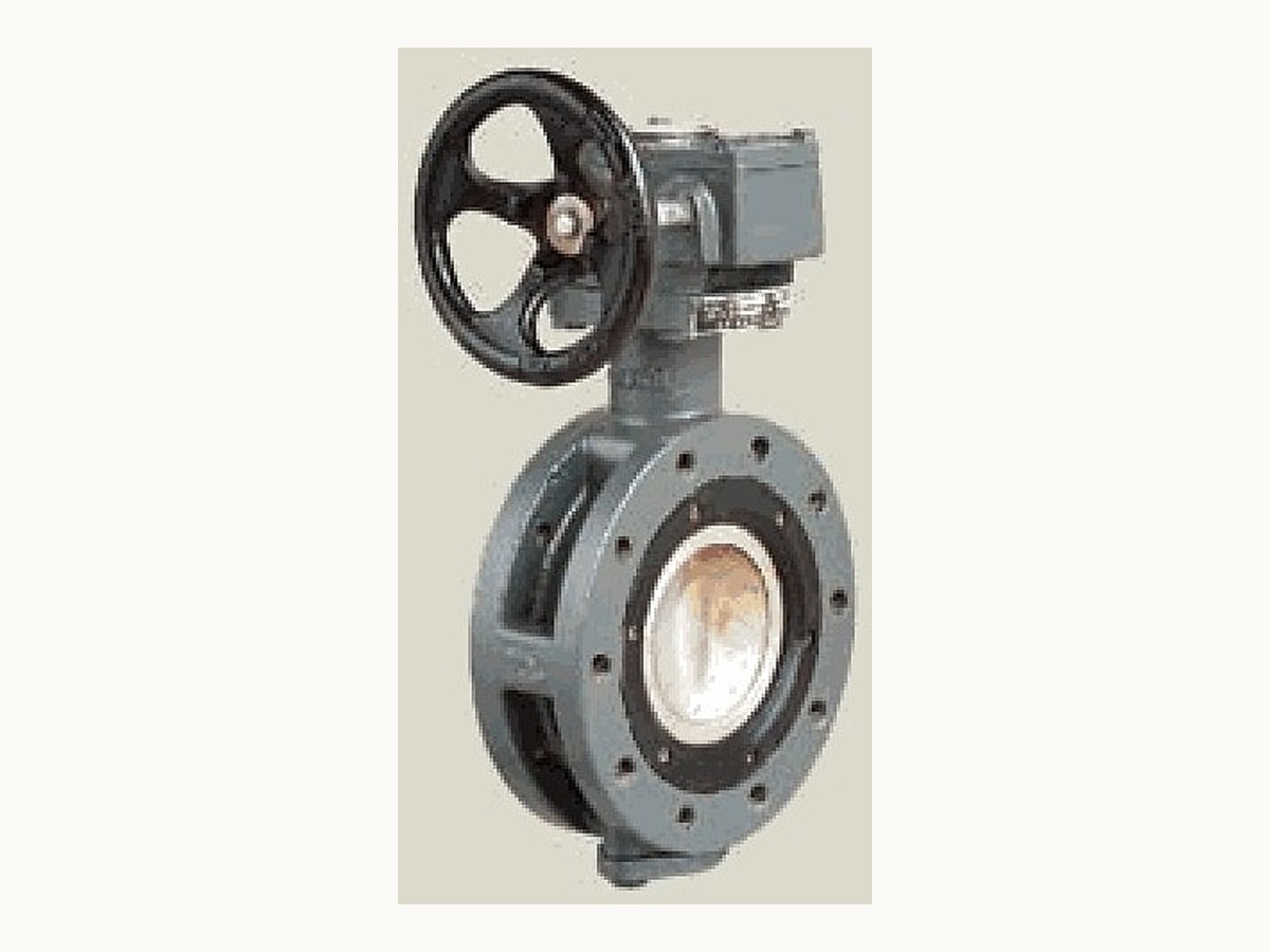 Marine Center-Pivoted Flanged Worm Manual Butterfly Valve (GB/T3036-94Fc)