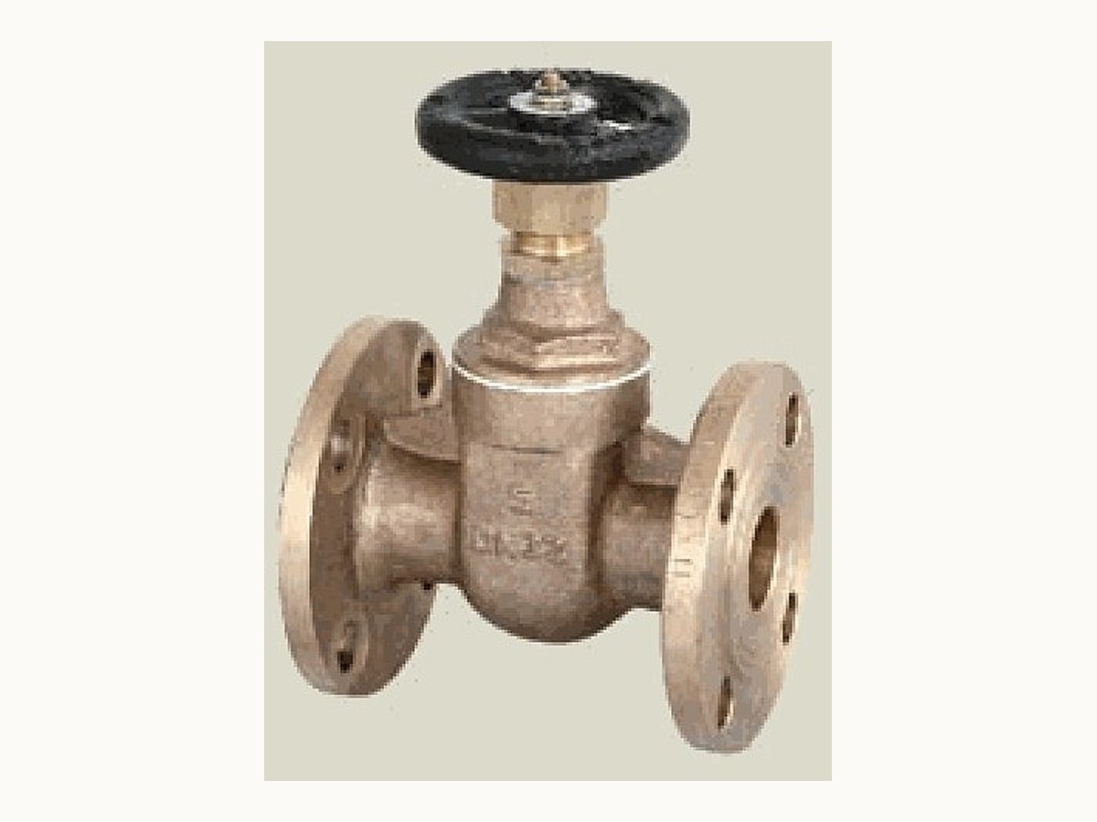 Bronze Flanged Gate Valve (CBM1090-81)