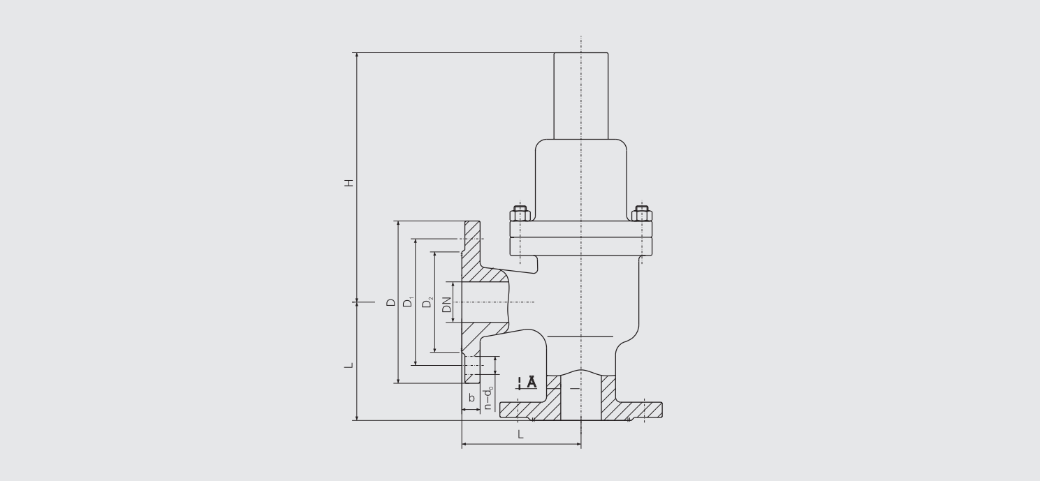 Pressure Relief Valve (CB/T3843-1999) Structure Drawing