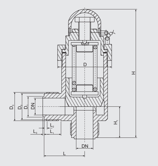 Male Bronze Angle Liquid Safety Valve (CB/T907-94) Structure Drawing
