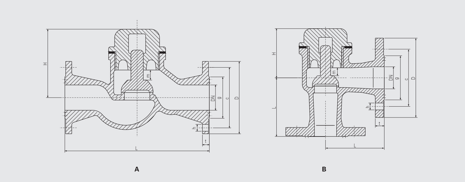 Bronze Flanged Lift Check Valve (CBM1071-81) Structure Drawing