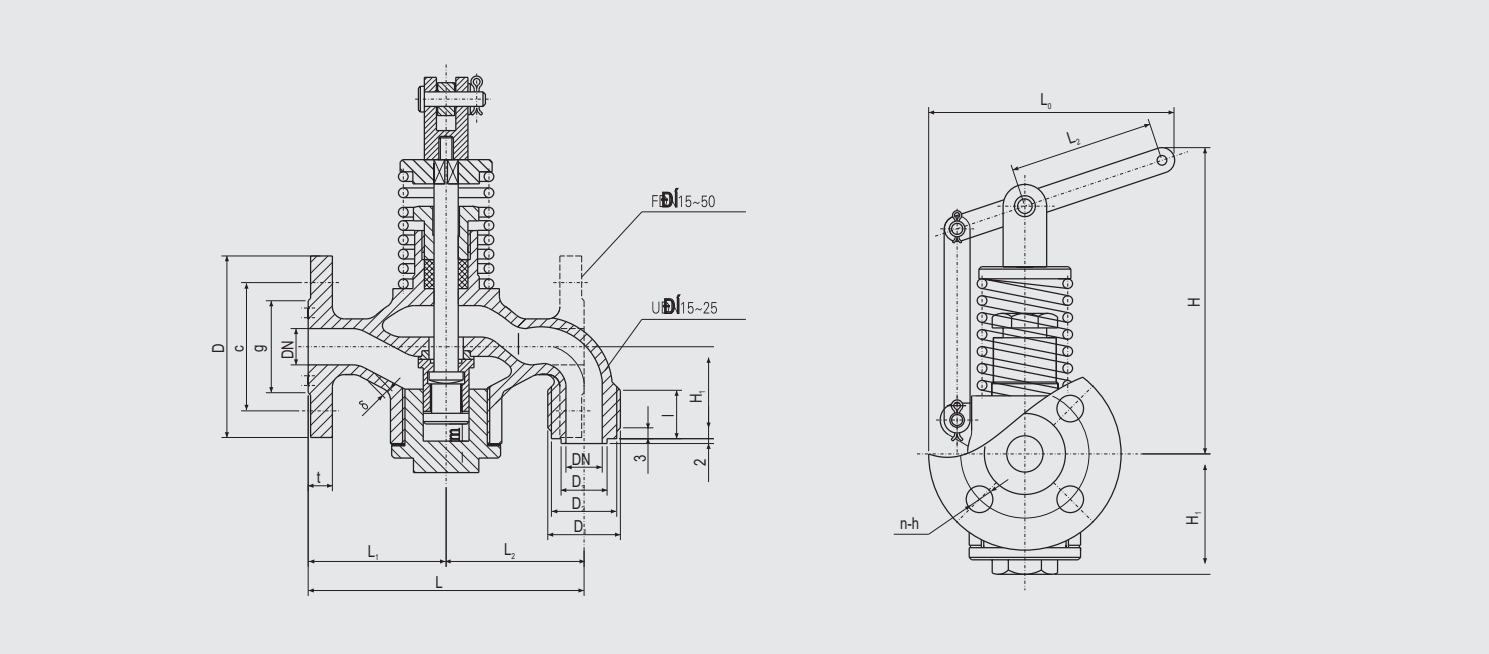 Self-Closing Draw-Off Valve (CBM1078-81) Structure Drawing