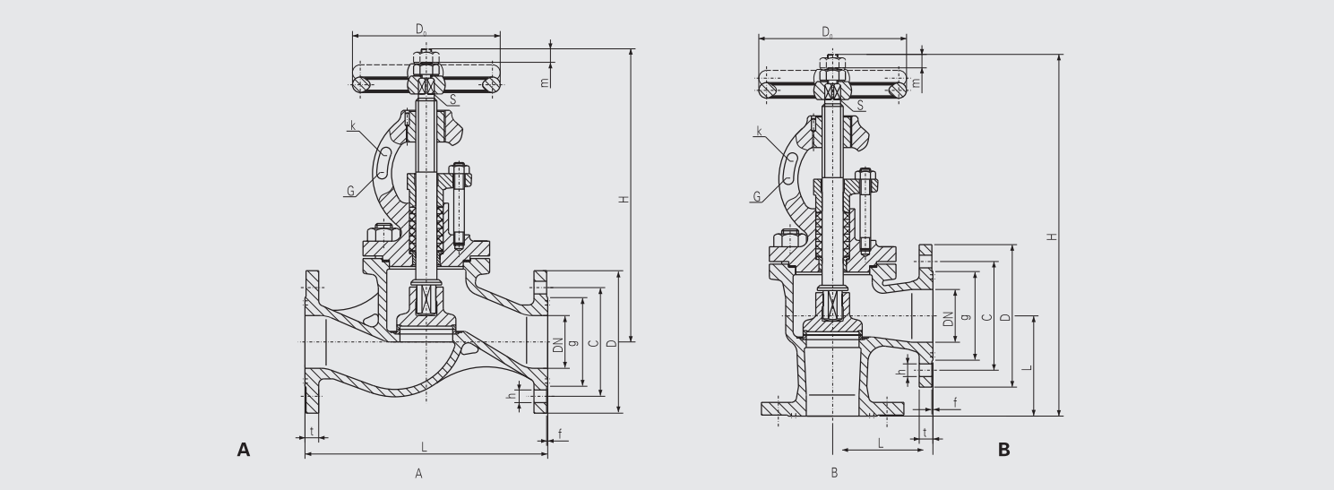 Cast Iron Flanged Stop Check Valve (CBM1088-81) Structure Drawing