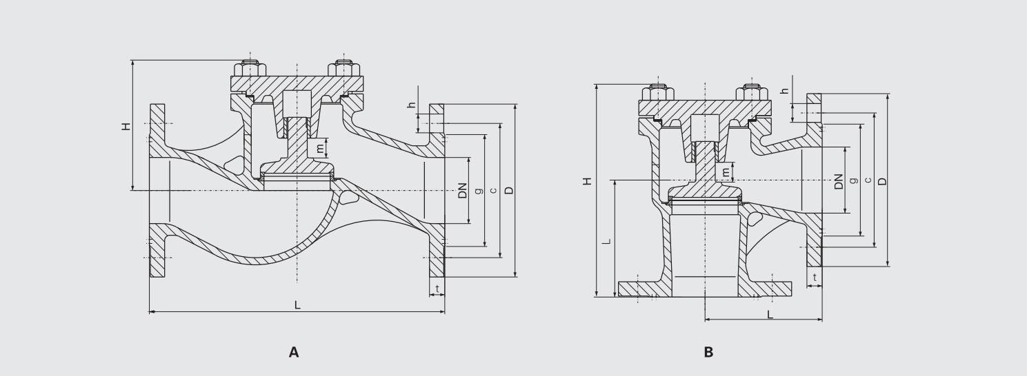 Cast Iron Flanged Lift Check Valve (CBM1089-81) Structure Drawing