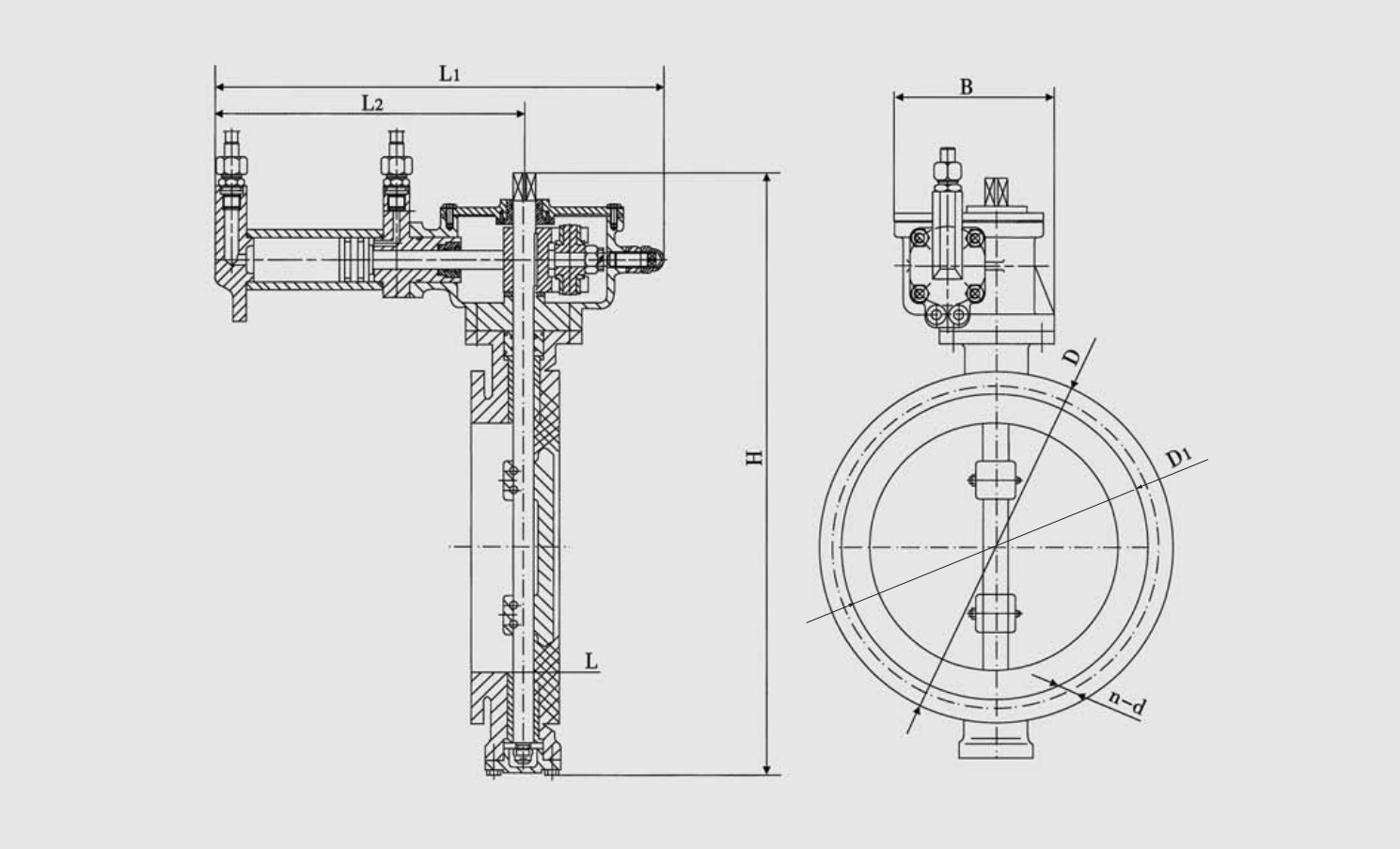 Marine Duo-Eccentric-Pivoted Simplex Wafer Hydraulic Butterfly Valve (GB/T3037-94Y) Structure Drawing