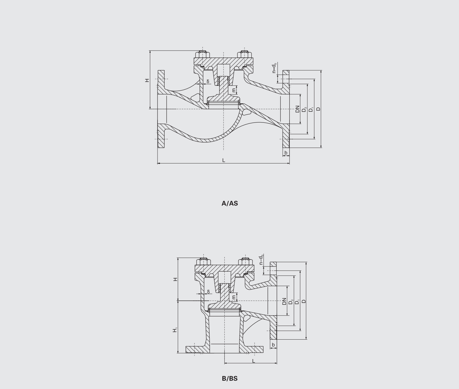 Marine Cast Iron Flanged Check Valve (GB/T592-93) Structure Drawing