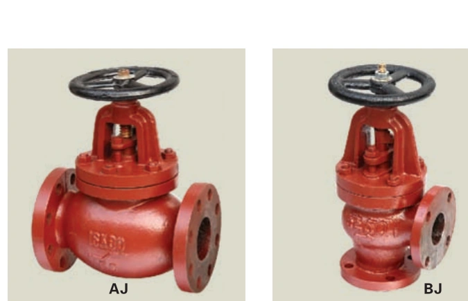 J Type Flanged Cast Iron 0.9MPa Lift Check Valve (CB/T4009-2005)
