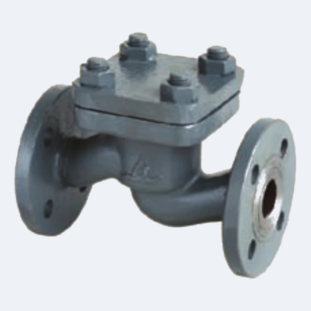 Marine check valve