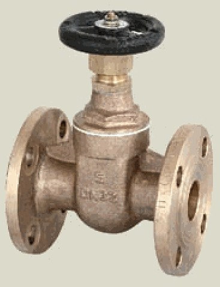 Bronze Flanged Gate Valve (CBM1090-81)